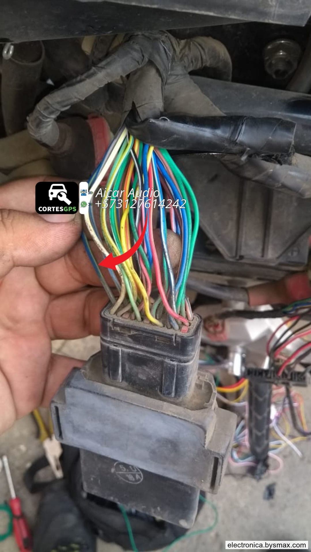 Paso 1: CORTE A LA ECU, CABLE AZUL CON FRANJA AMARILLA CLA