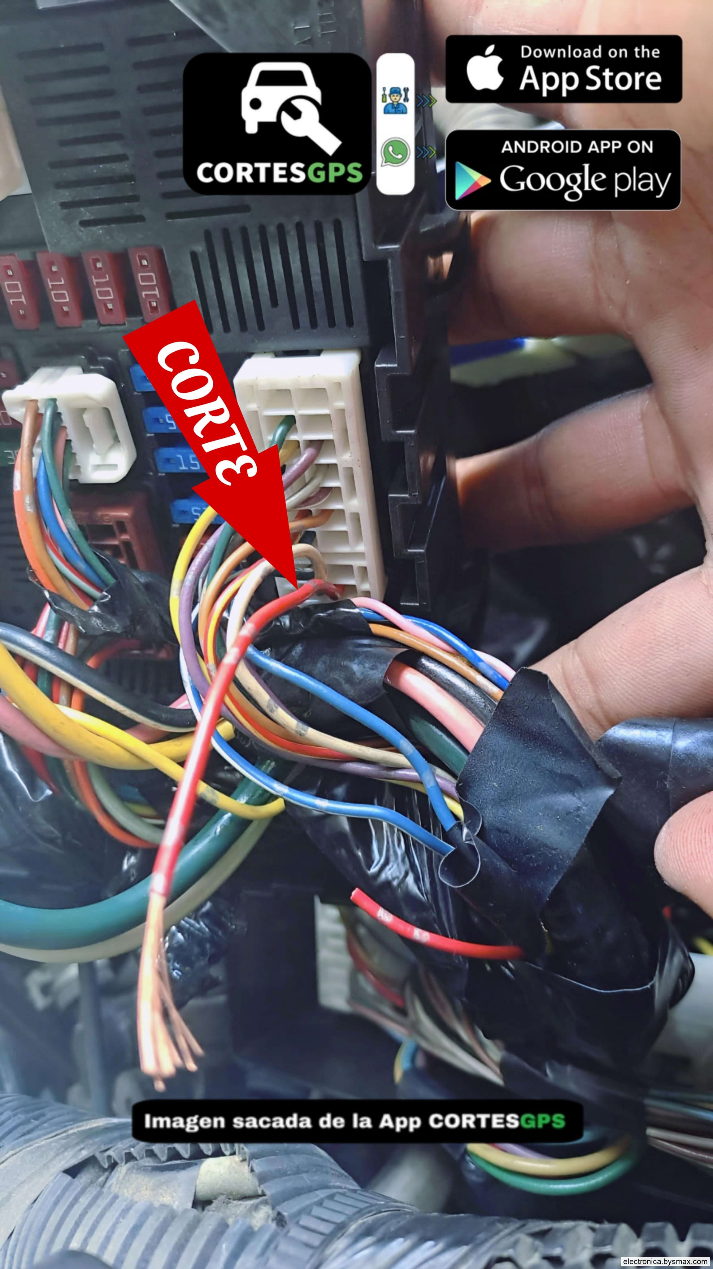 Paso 1: CORTE A IGNICION, FUSILERA DEL MOTOR, CABLE COLOR 