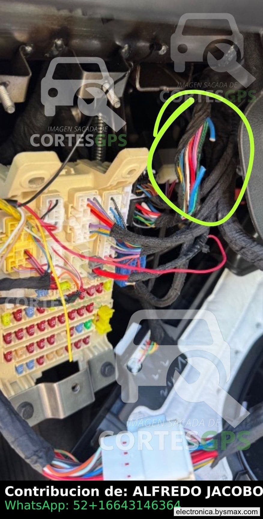 Paso 1: CORTE A IGNICION. CABLE AZUL (+) ENTRE VOLANTE Y F