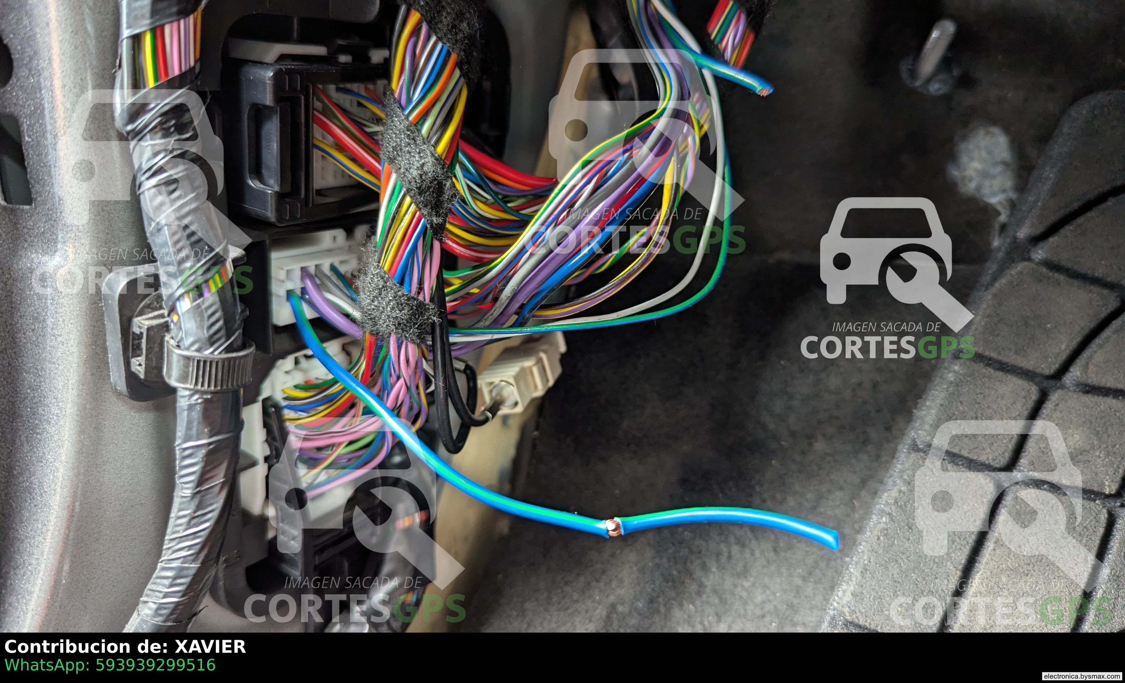 Paso 1: CABLE DE COMBUSTIBLE AZUL CON VERDE EN EL ESTRIBO 