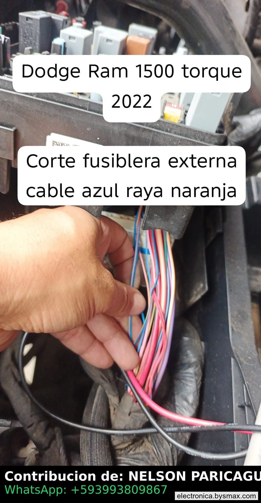 Paso 1: CORTE A LA BOMBA DE GASOLINA CABLE COLOR AZUL RAYA
