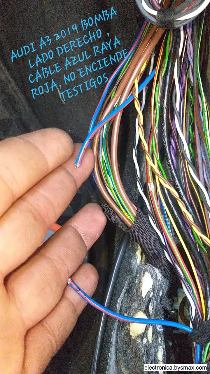 Paso 1: Tipo de Corte: Bomba Color del Cable: AZUL/ROJO