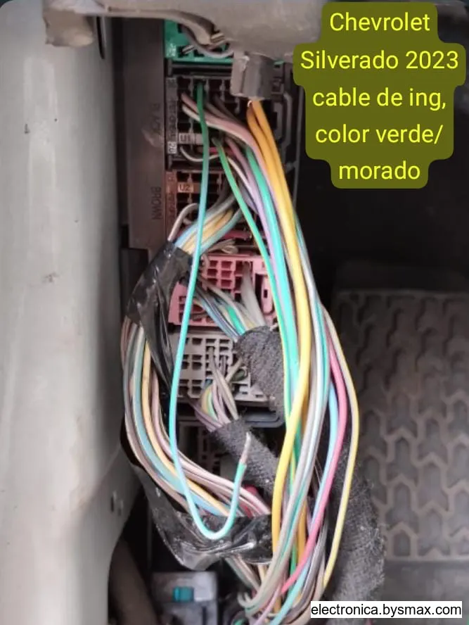 Paso 1: Color Verde / Morado