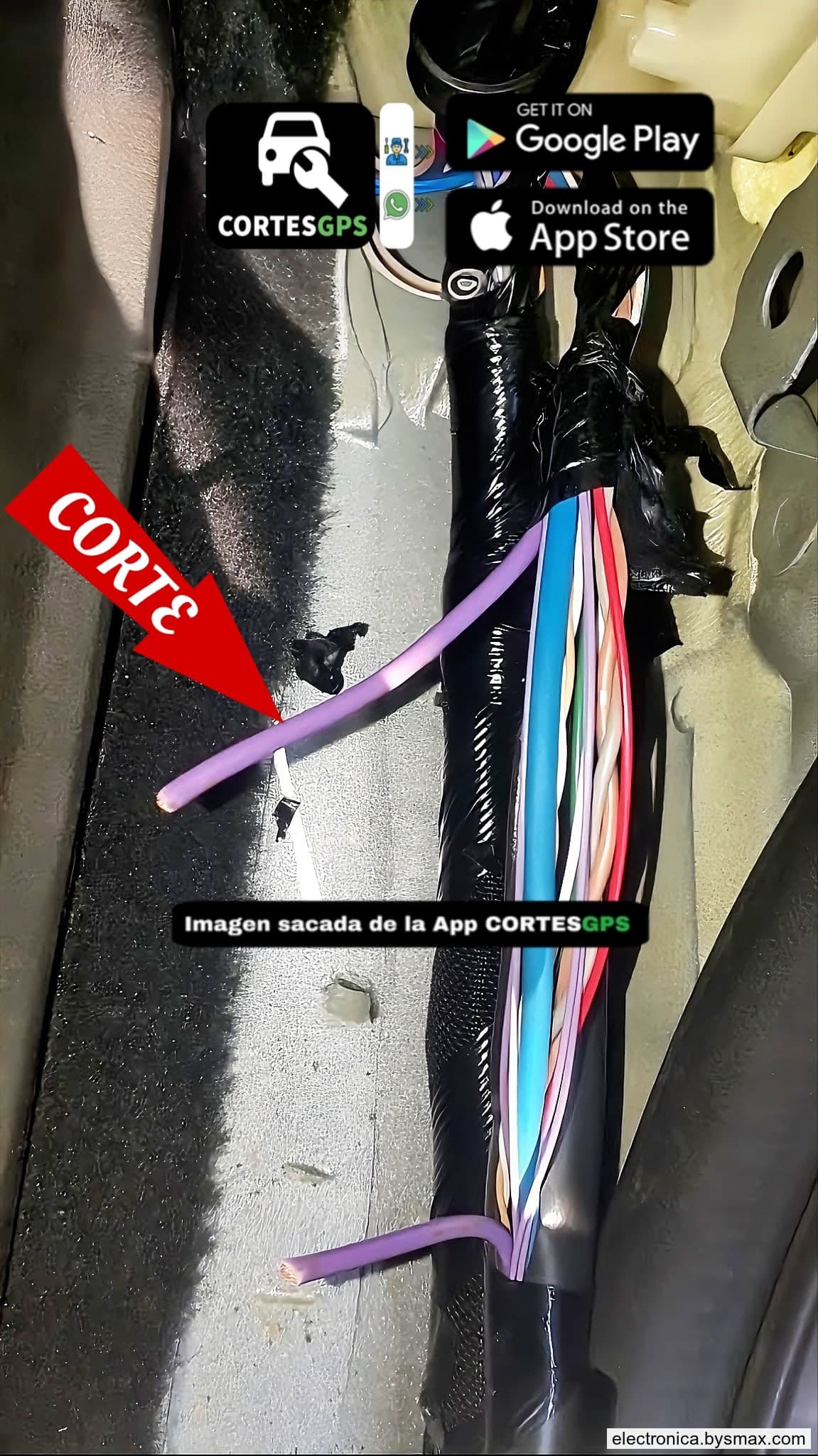 Paso 1: CORTE A LA BOMBA, CABLE COLOR LILA UBICADO EN EL E