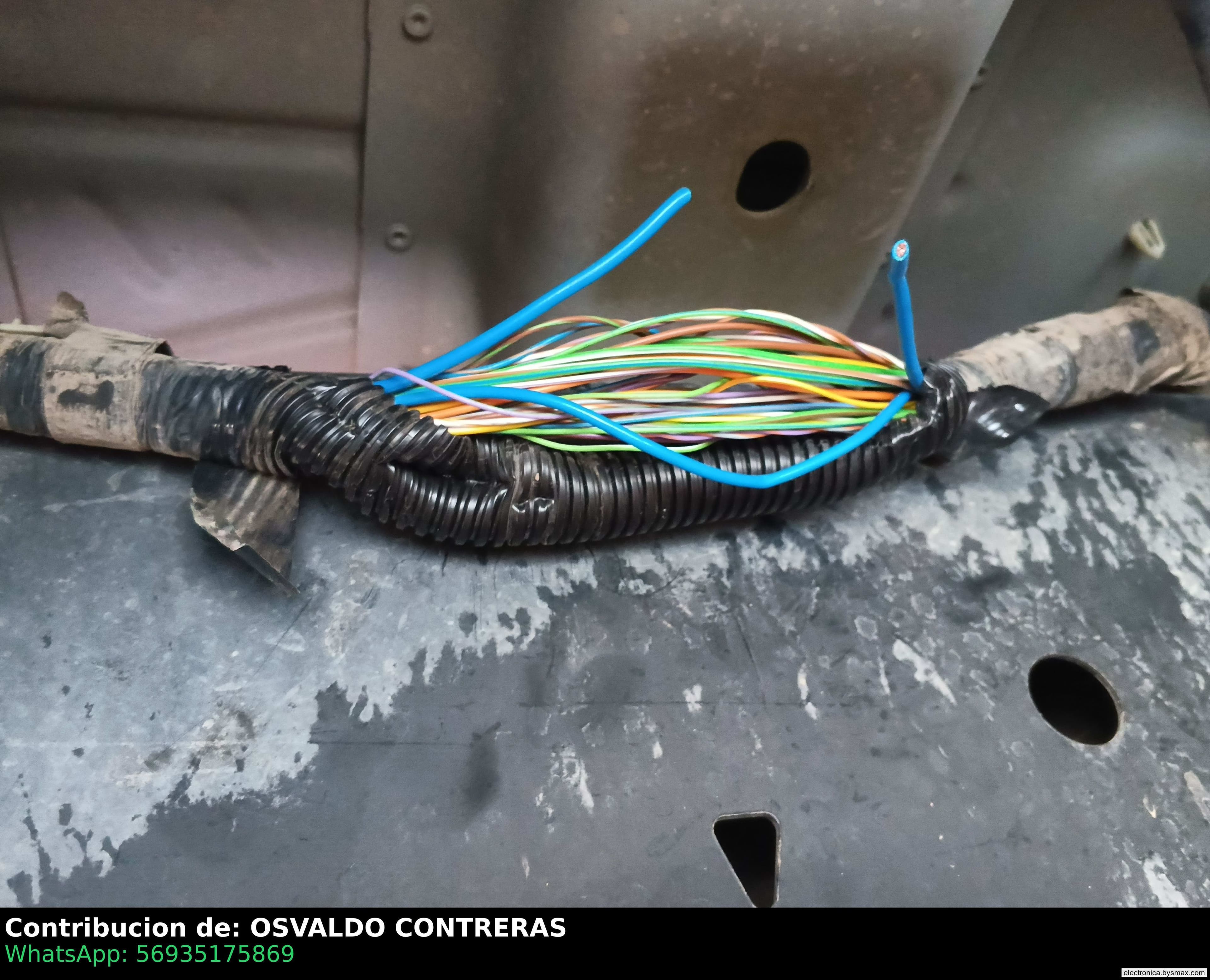Paso 1: CORTE ALA BOMBA CABLE AZUL GRUESO P
FORD F150PLA